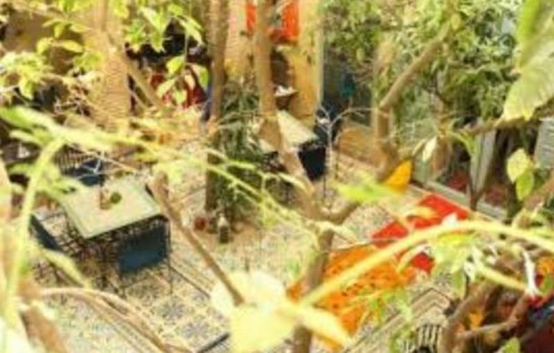 Riad Les Jardins De Kesali Marrakesh Eksteriør billede
